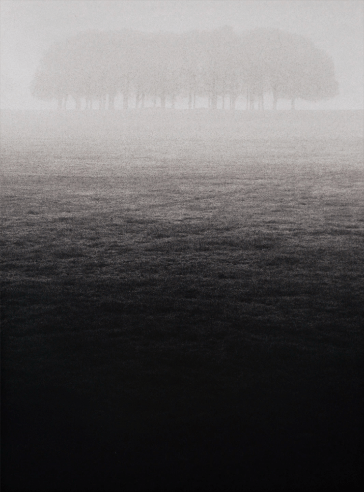 Michael Kenna

Trees, Richmond-Surrey, England, 1975

silver gelatin print

Image: 9 1/8 x 6 inches

Frame: 20 1/4 x 16 1/4 inches