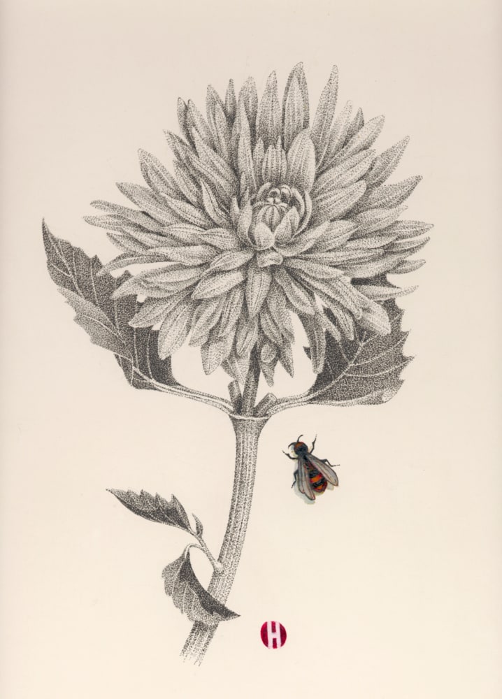 Dahlia and Plasterer Bee, 2005

ink and Japanese watercolor

14 x 11 inches