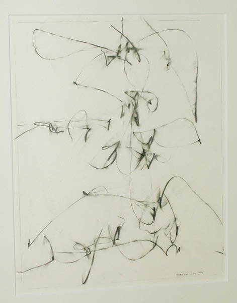 Judith Foosaner

Minor Complications #13, 1995 &amp;nbsp;&amp;nbsp;

graphite on paper &amp;nbsp;&amp;nbsp; &amp;nbsp;

14 x 11 inches