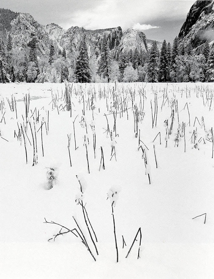 Winter Morning, Yosemite, 2000

silver gelatin print, edition 6/50

Print: 30 x 24 inches

Matted: 40 x 32 inches