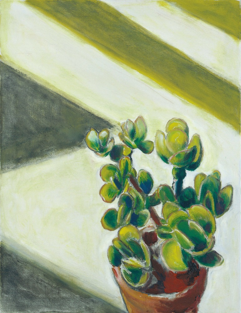 Succulent, April&amp;nbsp;1980

Oil on canvas

29 x 22 inches