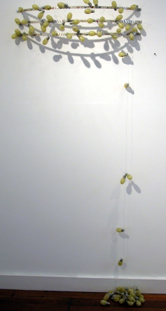 Knobbed, 2005

Glass bulbs, paper, wire, aluminum, yarn

65 x 29 x 11 inches