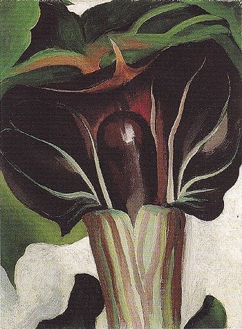 Georgia O&amp;#39;Keeffe

Jack-in-the-Pulpit, No. 1,&amp;nbsp;1930

oil on canvas