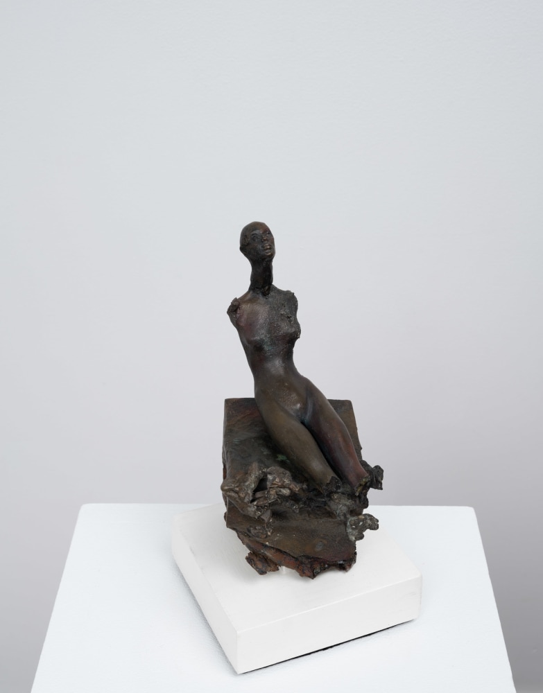Cecilia Z. Miguez: A Thousand Years in One Night