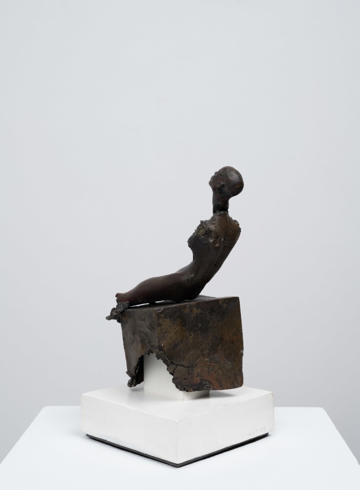 Cecilia Z. Miguez: A Thousand Years in One Night