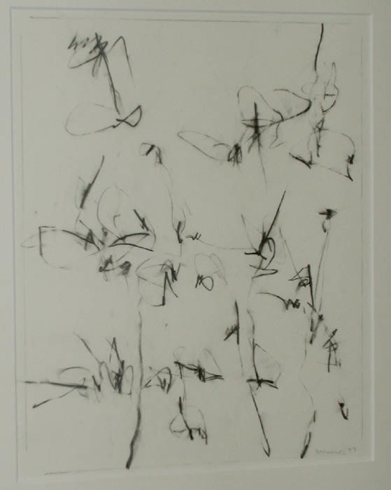 Judith Foosaner Minor Complications #12, 1997     graphite  on paper 14 x 11 inches;  35.6 x 27.9 centimeters LSFA# 01931