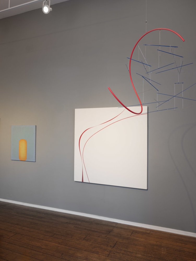 Perspective and Plane