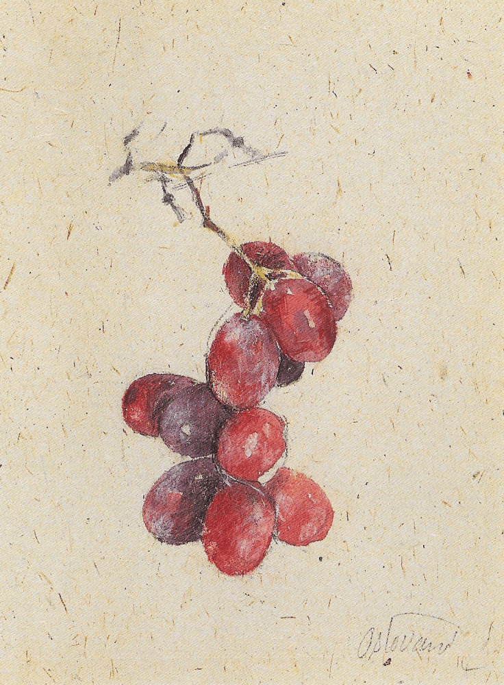 Grape, 2001

Watercolor

7 1/8 x 5 1/4 inches