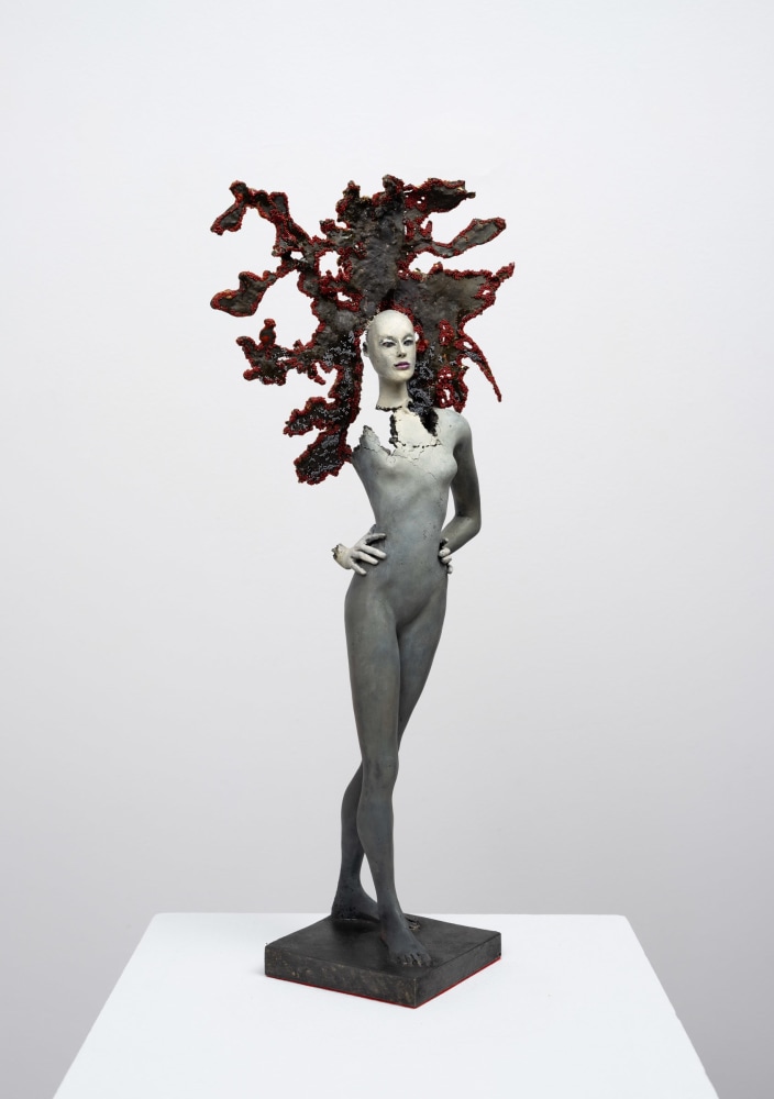 Cecilia Z. Miguez: A Thousand Years in One Night