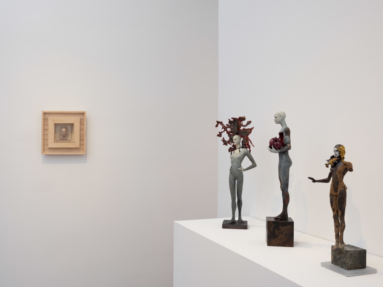 Cecilia Z. Miguez: A Thousand Years in One Night