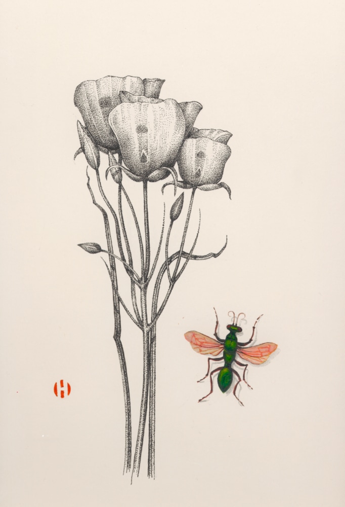 Sego Lily and Digger Wasp, 2006

ink and Japanese watercolor

14 x 11 inches