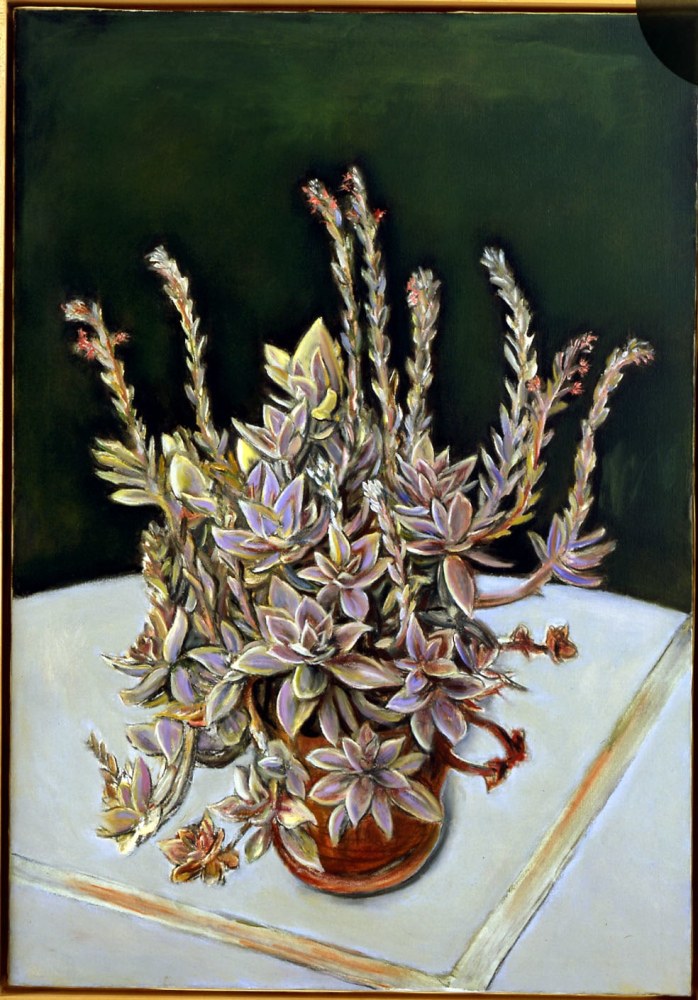 Graptopetalum,&amp;nbsp;December 1975

oil on canvas

48 x 33 inches; 121.9 x 83.8 centimeters