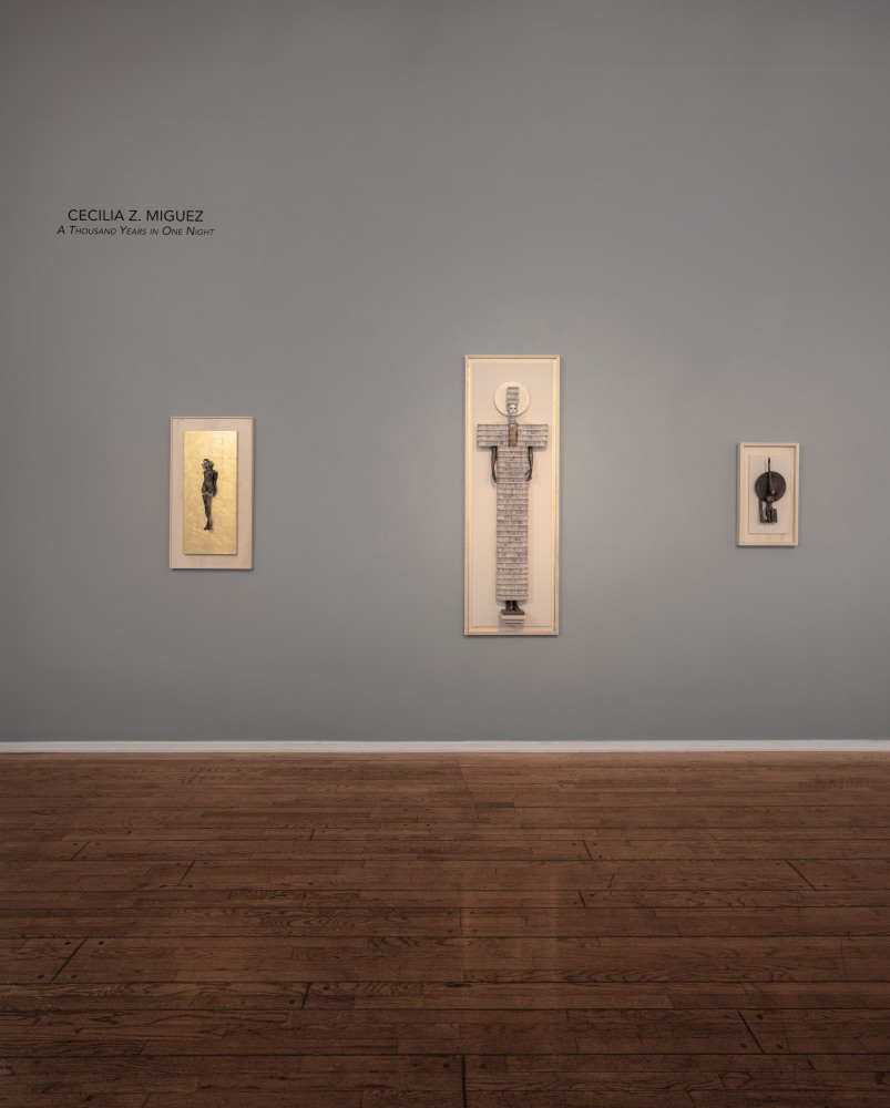 Cecilia Z. Miguez: A Thousand Years in One Night