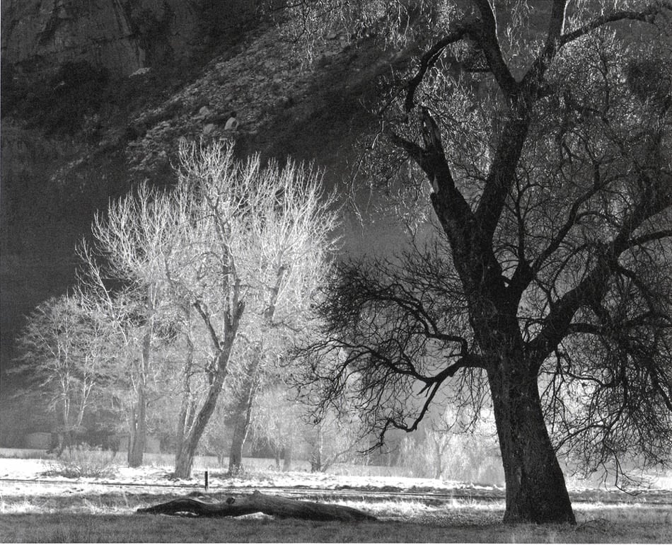 Late Sun on Oaks, Yosemite, 1975

silver gelatin print, edition 16/49

Print: 24 x 30 inches

Matted: 32 x 40 inches