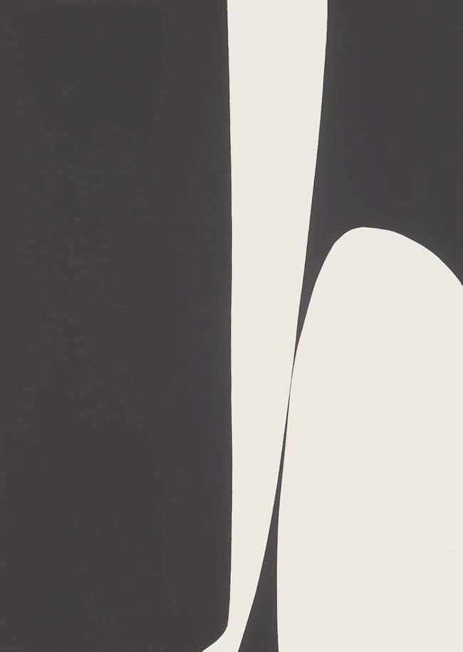 Magical Space Forms (Dual Imagery), 1962

oil on canvas

70 x 50 inches (177.8 x 127 cm)