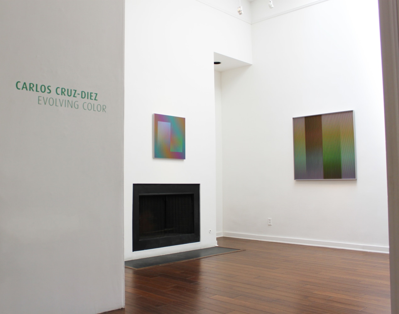 Carlos Cruz-Diez: Evolving Color