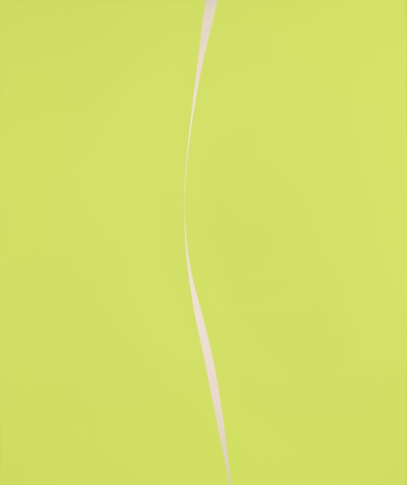 Untitled, 1965-71

acrylic on canvas

72 x 60 inches; 182.9 x 152.4 centimeters

LSFA# 1396