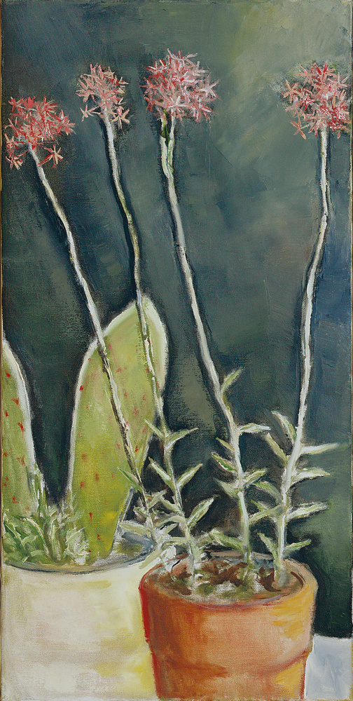 Orchid Cactus,&amp;nbsp;December 1975

oil on canvas

30 x 15 inches; 76.2 x 38.1 centimeters