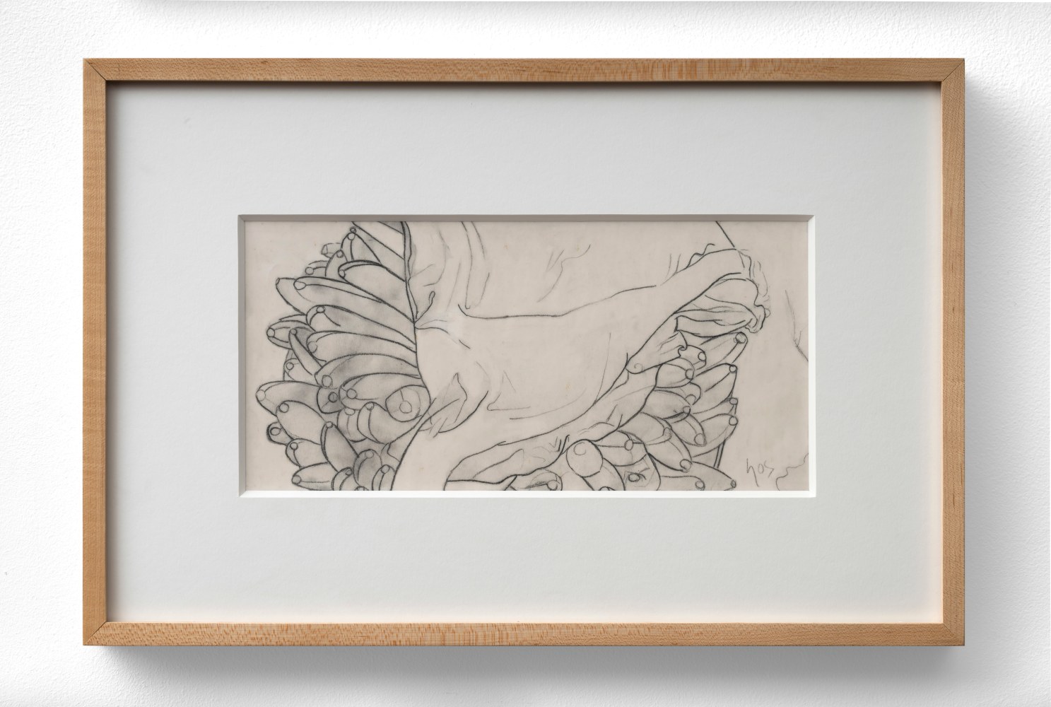 Ana Mercedes Hoyos (1942-2014) Still Life III, 1996 pencil on paper 5 3/4 x 12 inches; 14.6 x 30.5 centimeters LSFA# 01495