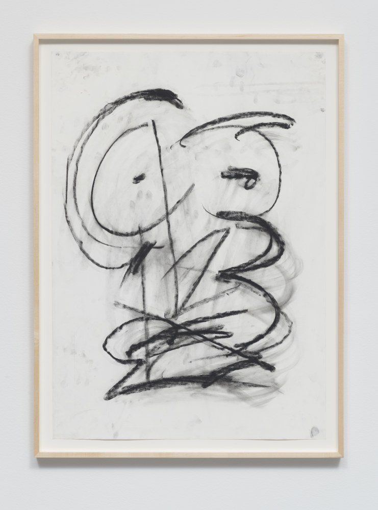 Cameron Platter

Untitled (Zinger_07), 2017

Charcoal on paper

35h x 25w in
88.90h x 63.50w cm
