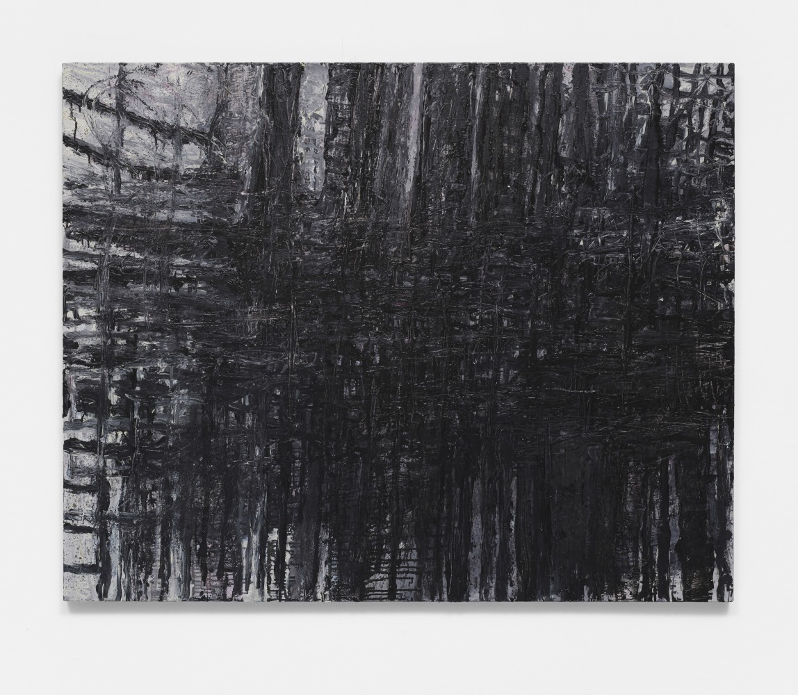 TJ Bohm

Untitled, 2020-2021

Oil on canvas

48h x 60w in
121.92h x 152.40w cm