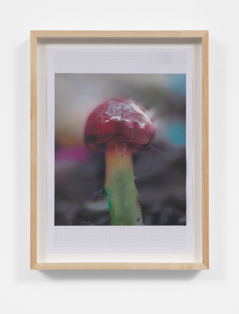 Craig Boagey
Mushroom study on A4, (Parrot Waxcap), 2020
Coloured pencil, acrylic on paper
8.27h x 11.69w in
21h x 29.70w cm