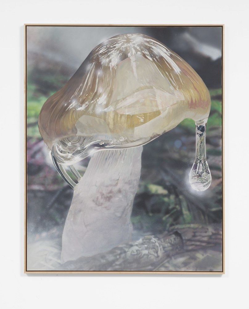 Craig Boagey
Mushroom 1, Brown cap, 2020
Oil, acrylic on canvas
60h x 48w in
152.40h x 121.92w cm
