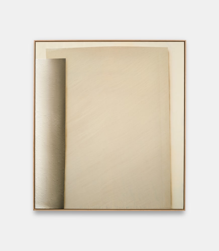 Tycjan Knut
p52, 2023
Acrylic on linen
70.87h x 62.99w in
180h x 160w cm