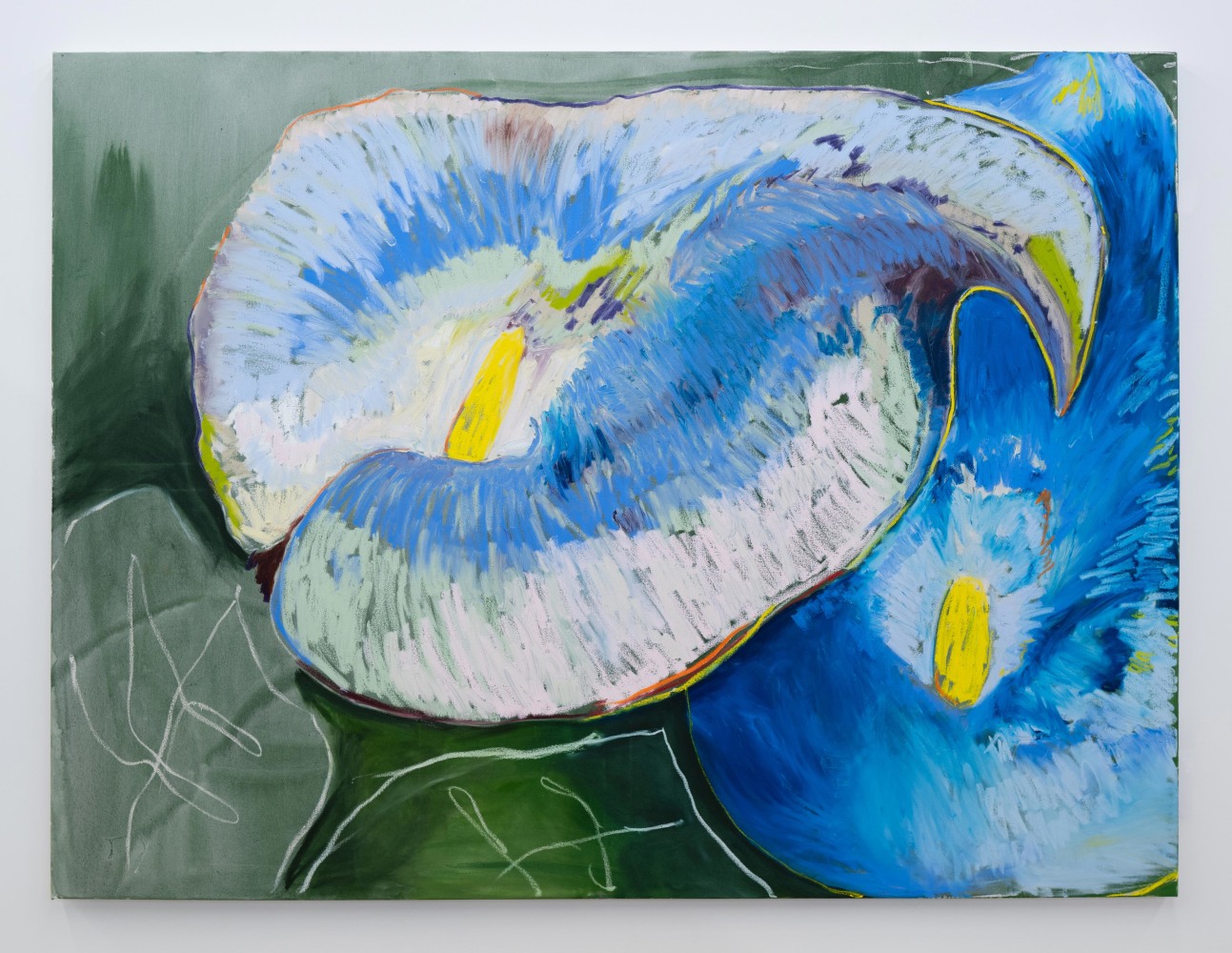 Codi Barbini
Callas in blue, 2023
Acrylic and oil on canvas
72h x 96w x 1.50d in
182.88h x 243.84w x 3.81d cm
