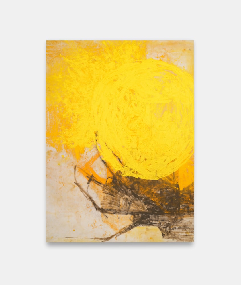 Dan&amp;eacute; Estes
SUN-RA III (The Sunshine Paintings), 2024
Oil and earth on canvas
90h x 66w x 1.38d in
228.60h x 167.64w x 3.51d cm