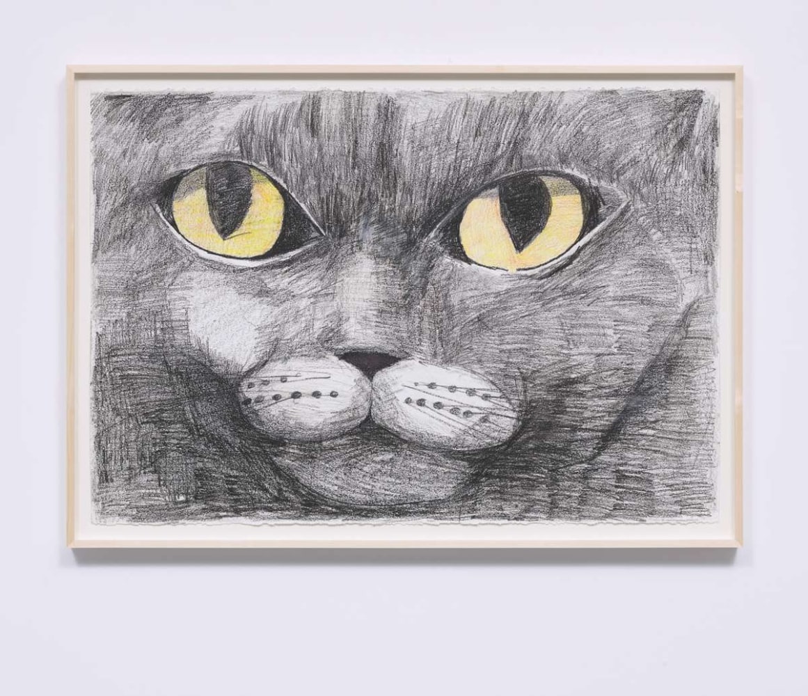 Matthew Chambers
Sam, 2018
Colored pencil and wax crayon on paper
29.50h x 44.00w in
74.93h x 111.76w cm
 