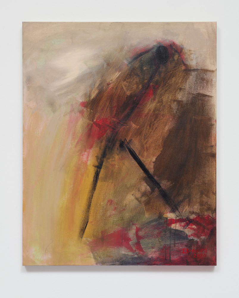 Elizabeth Ibarra

Untitled (figure &amp;amp; all), 2020

Acrylic on canvas

30h x 24w in
76.20h x 60.96w cm