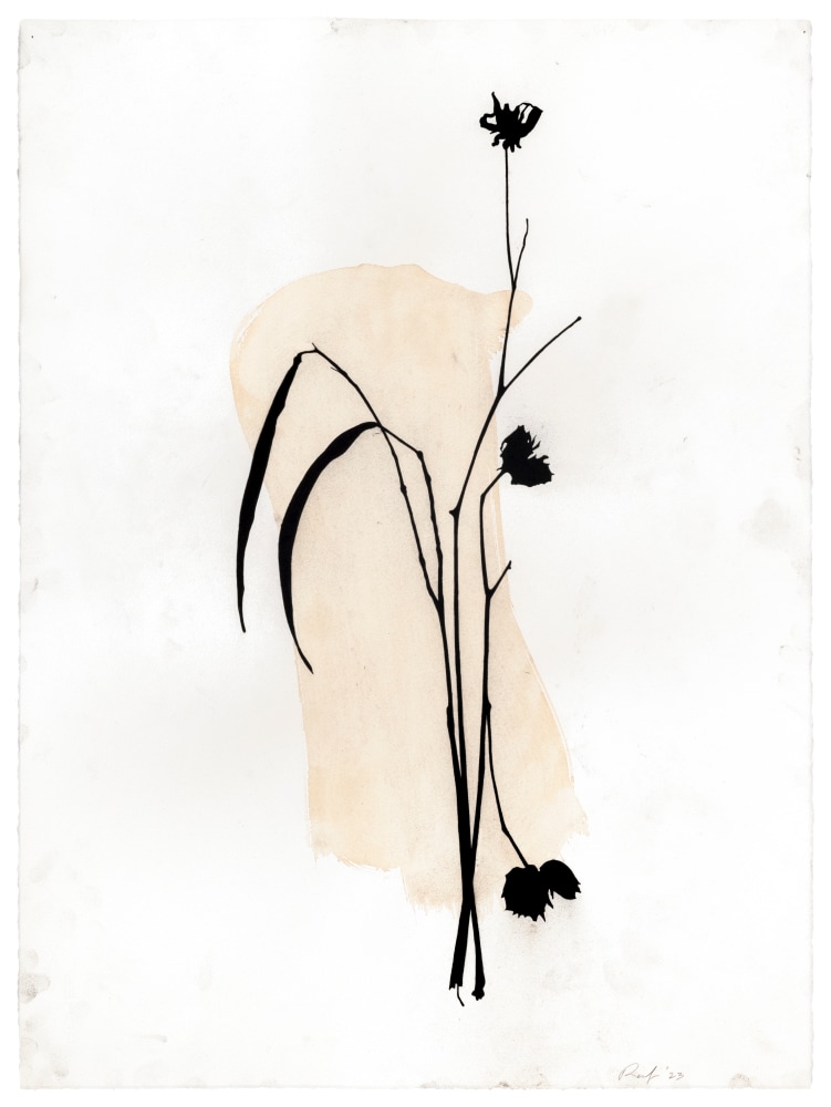 Randy Twaddle Arrangement #9, 2023 charcoal and coffee on paper 30" x 22 1/4" RT 466