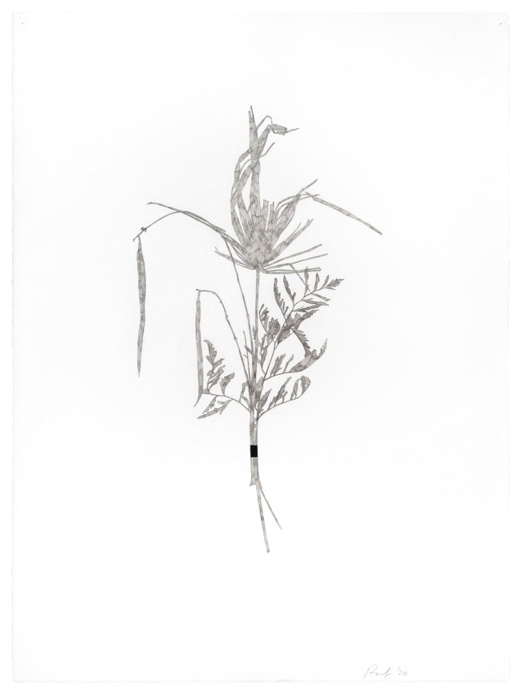 Randy Twaddle Bouquet #3, 2023 ink on paper 30" x 22 1/4" RT 470