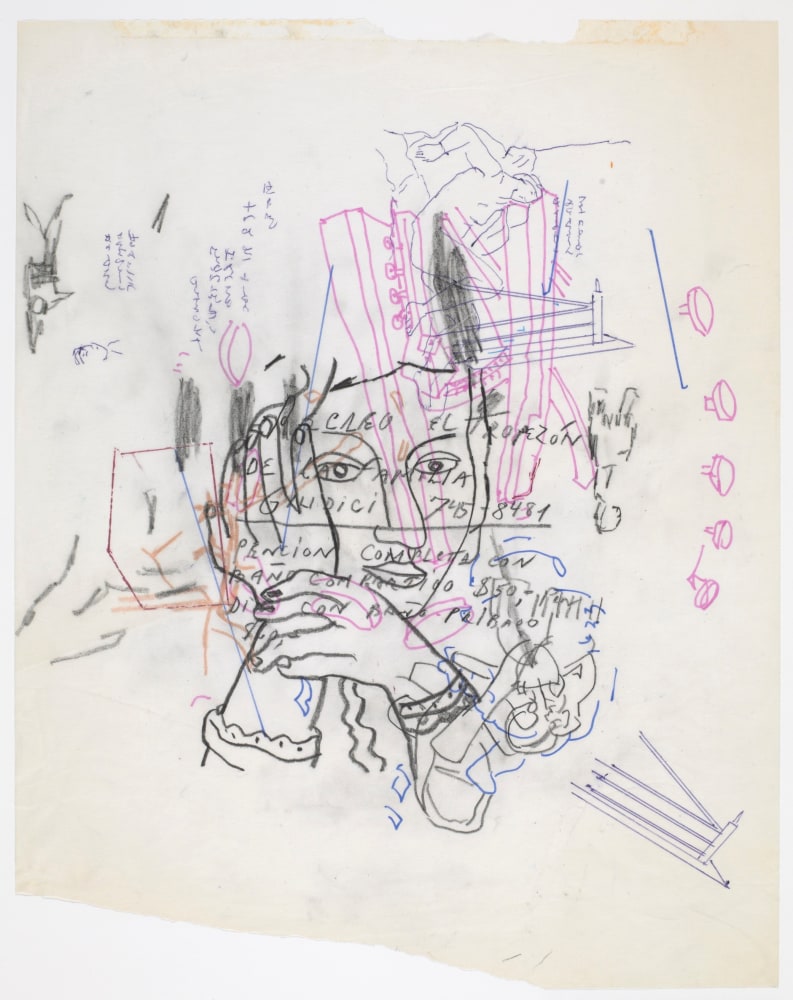 Gael Stack Forty-one Songs #30, 2010 ink, graphite, colored pencil on vellum 14" x 11" GS 306 Moody Gallery