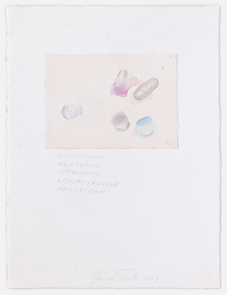 James Drake Rivastigmine, 2024 silverpoint, ink on gessoed paper 15 1/8 x 11 3/8 JD 389, Moody Gallery
