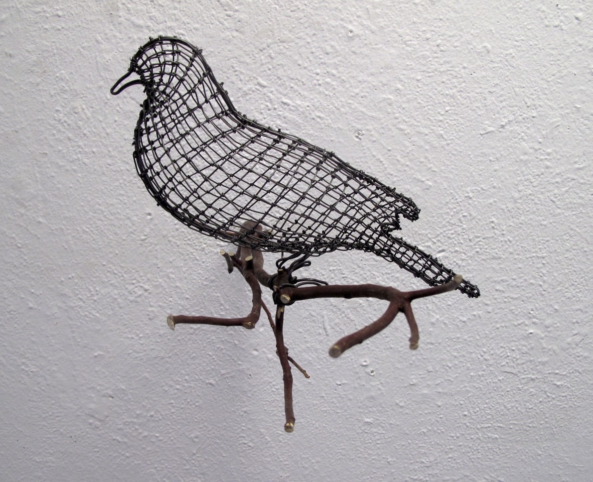 Helen Altman Settled Dove, 2019 wire, Manzanita branch 9" x 11" x 11 1/2" HA 728 Moody Gallery