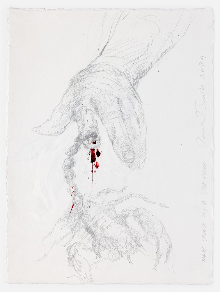 James Drake Man Stung by a Scorpion, 2024 silverpoint, ink on gessoed paper 15 1/8" x 11 1/2" JD 376, Moody Gallery