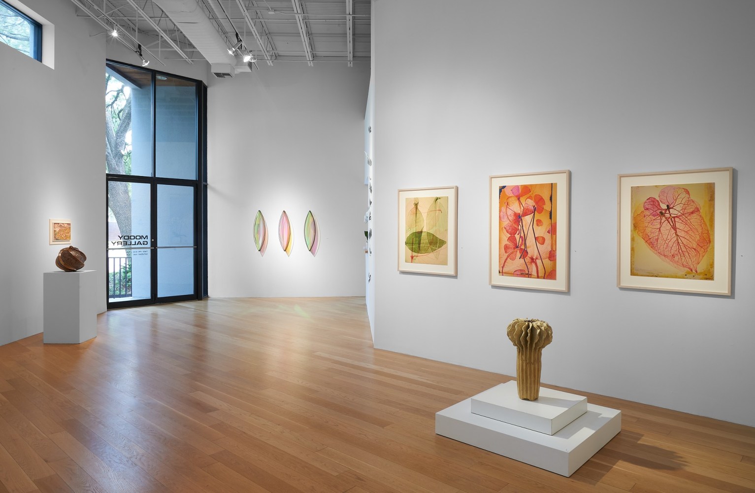 50th Anniversary Exhibition, Part II
Installation View, Moody Gallery
November 8 - December 23, 2025