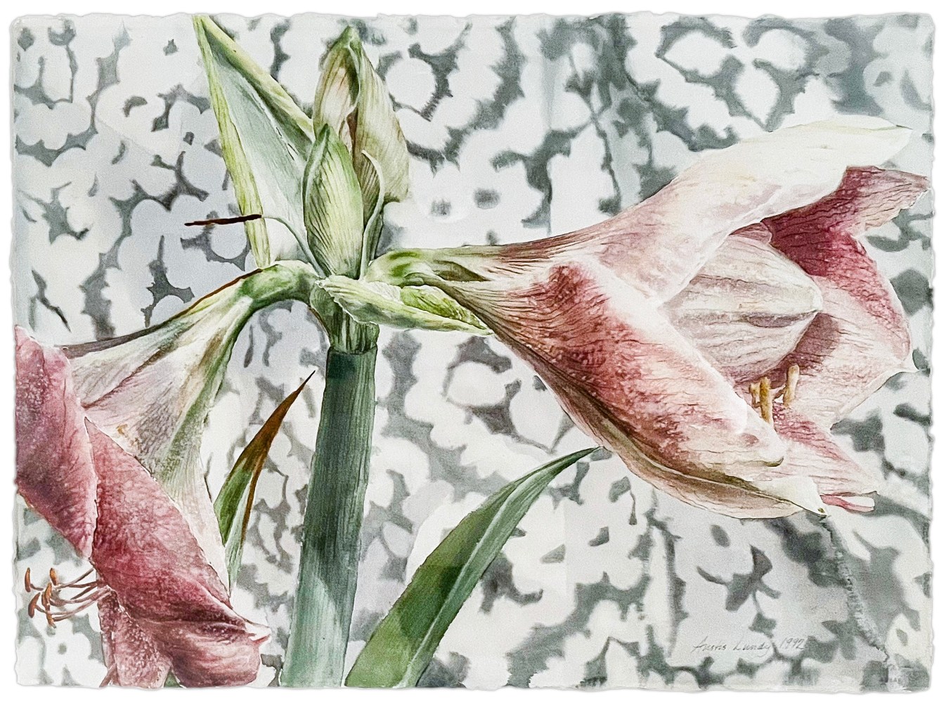 Anstis Lundy - &quot;Untitled&quot;, 1992 watercolor 22&quot; x 30&quot; MC 1176, Moody Gallery