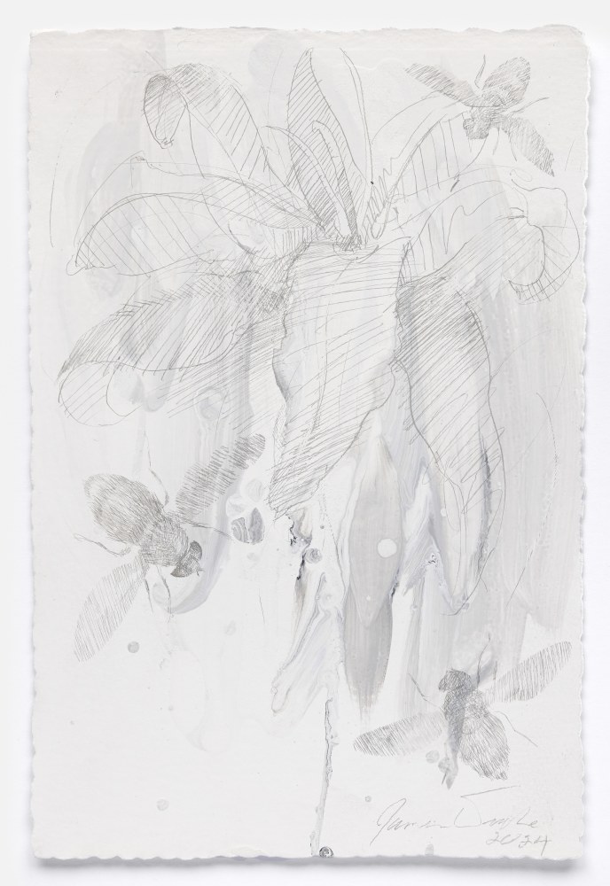 James Drake Orchid with Bees, 2024 silverpoint, ink on gessoed paper 11 1/2" x 7 3/4" JD 365, Moody Gallery