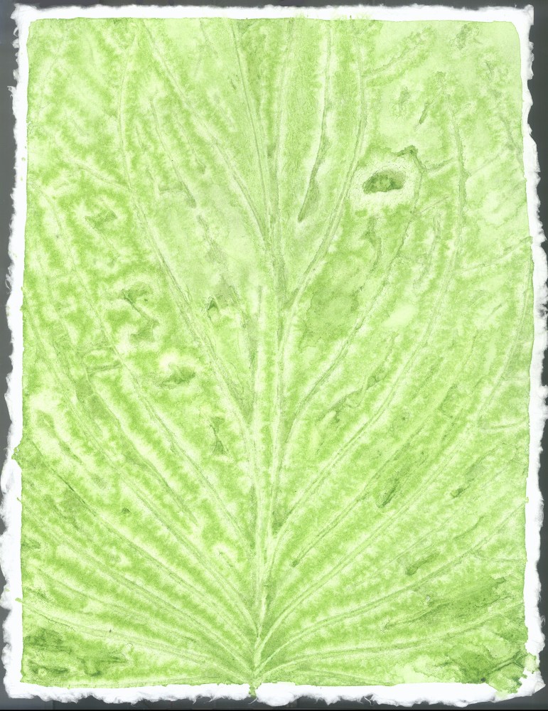 Liz Ward Specimen Days, 4, 2020 watercolor on paper 12 1/4" x 9” LW 274 Moody Gallery
