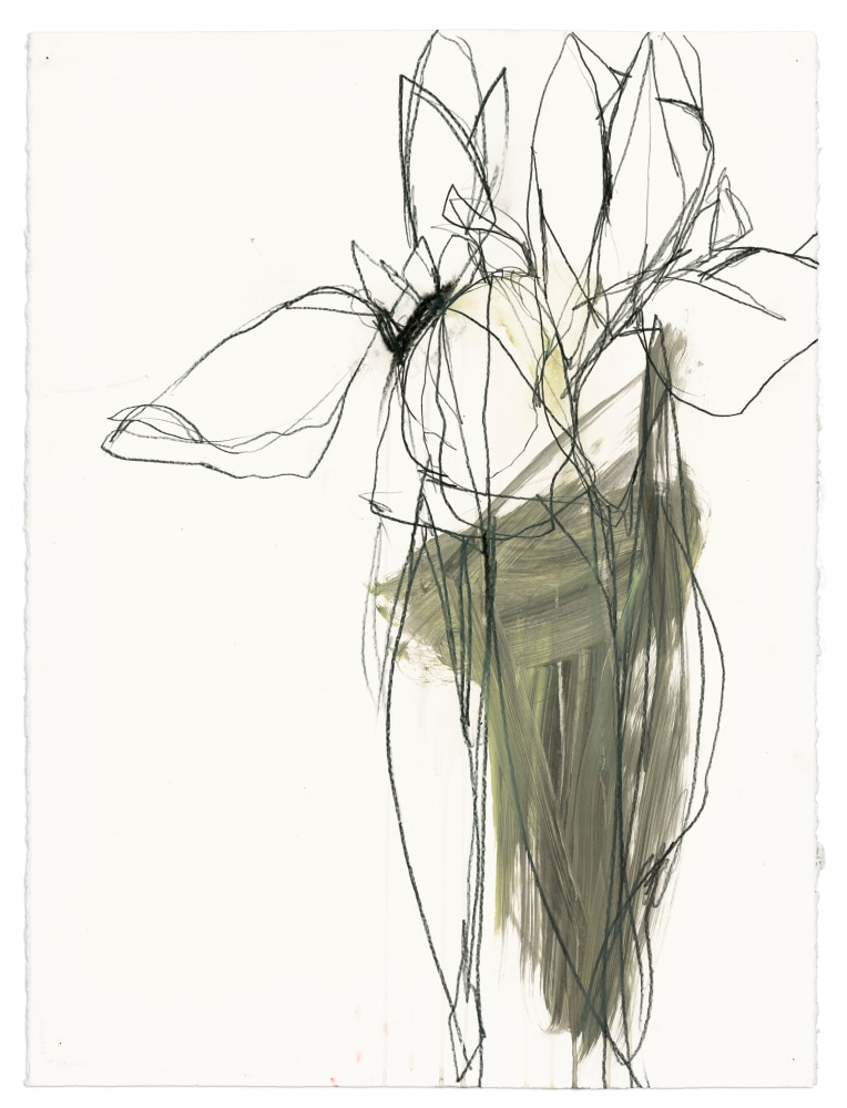 Andrea Rosenberg Untitled 26, 2022 mixed media on paper 33 3/4" x 26 1/4" AR 93 Moody Gallery