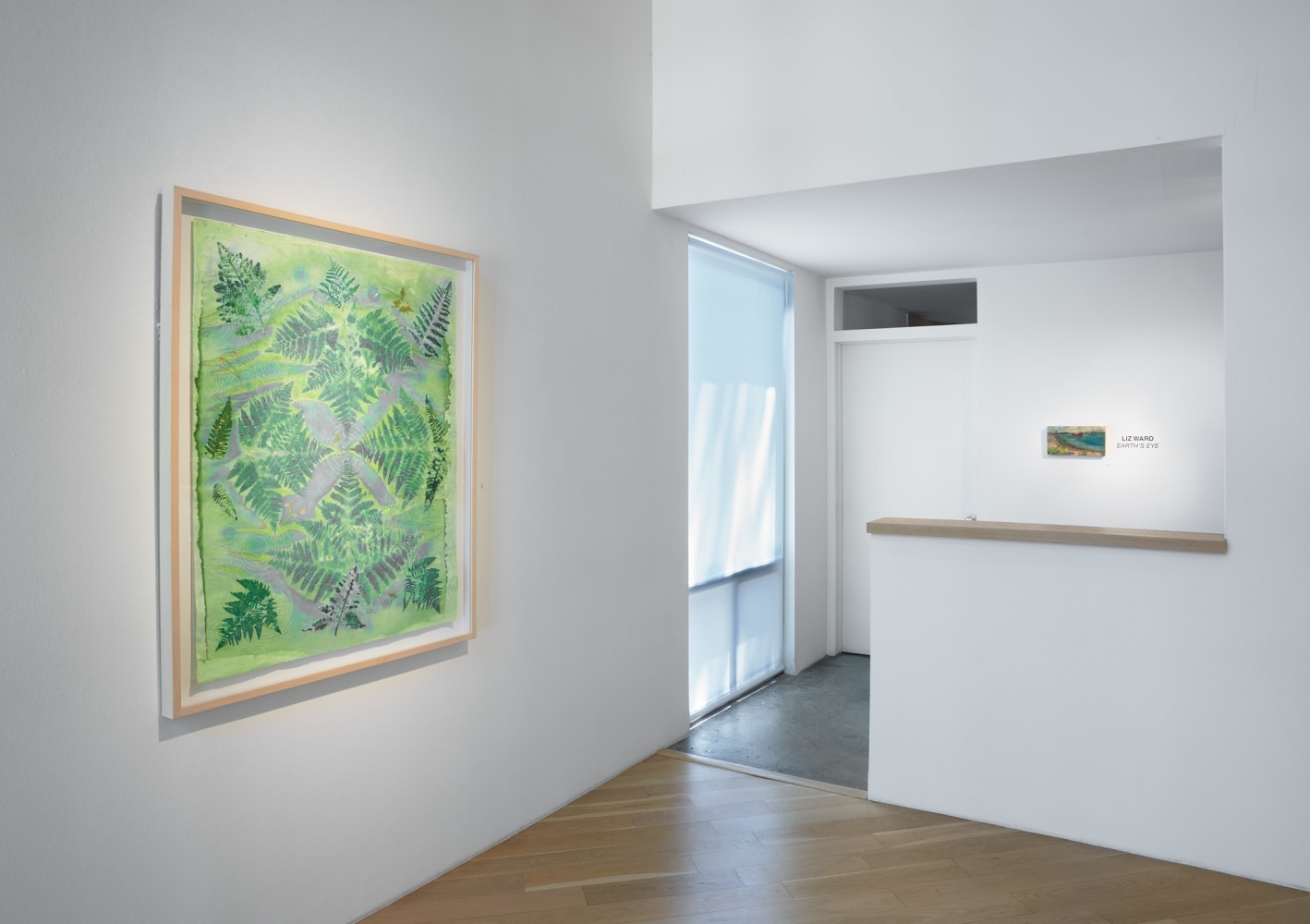 Liz Ward Earth's Eye, Installation View Moody Gallery May 10 - June 21, 2025