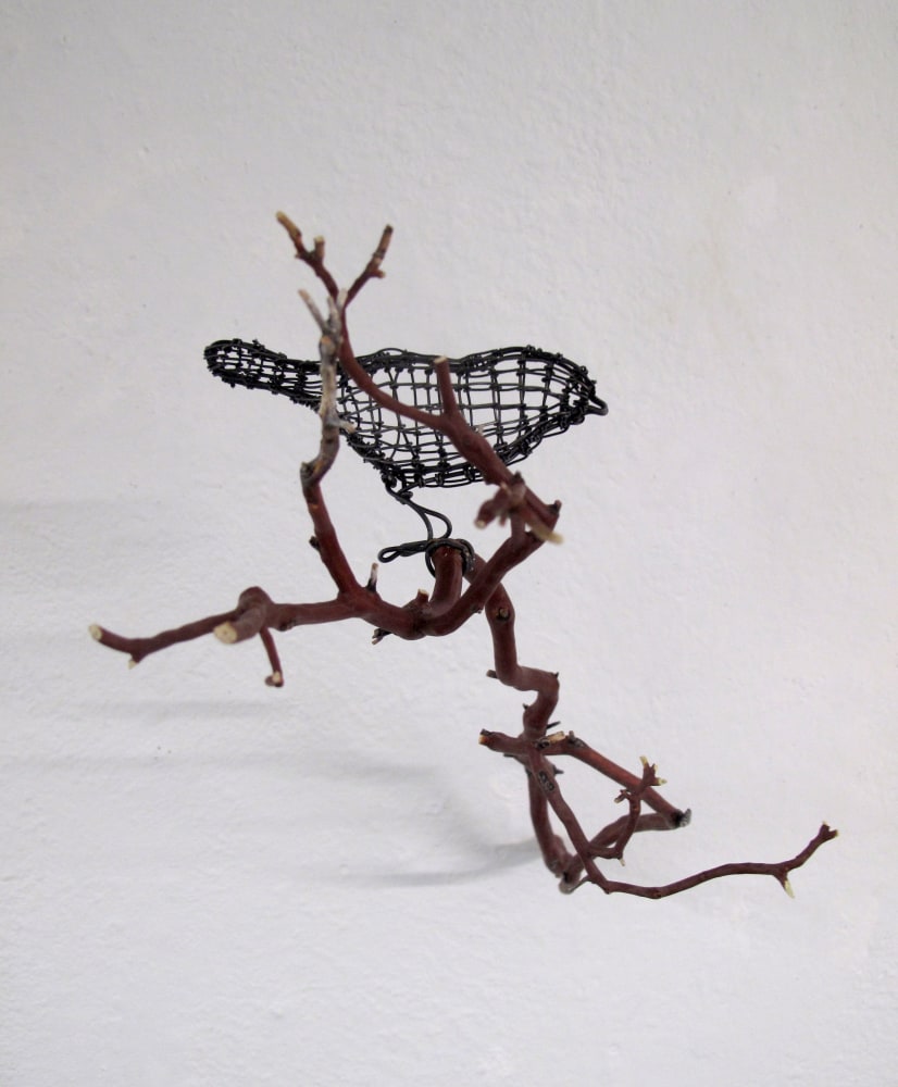 Helen Altman
Chickadee high up on a branch, 2022
wire and Manzanita branch
11" x 8" x 14"
HA 831