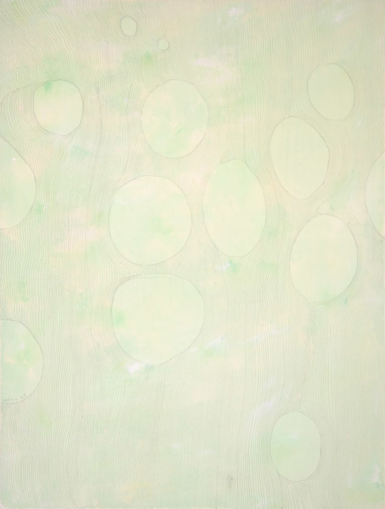 Liz Ward Tree Cell Study II, 2004 silverpoint, tinted gesso on paper 12 1/2" x 9 1/2" LW 158 Moody Gallery