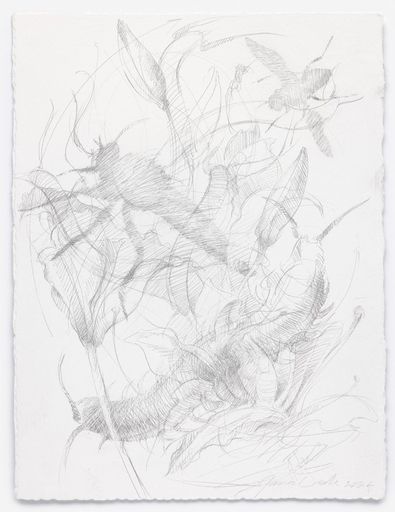 James Drake In that Evening Garden of Desire, 2024 silverpoint on gessoed paper 15" x 11 1/4" JD 356, Moody Gallery