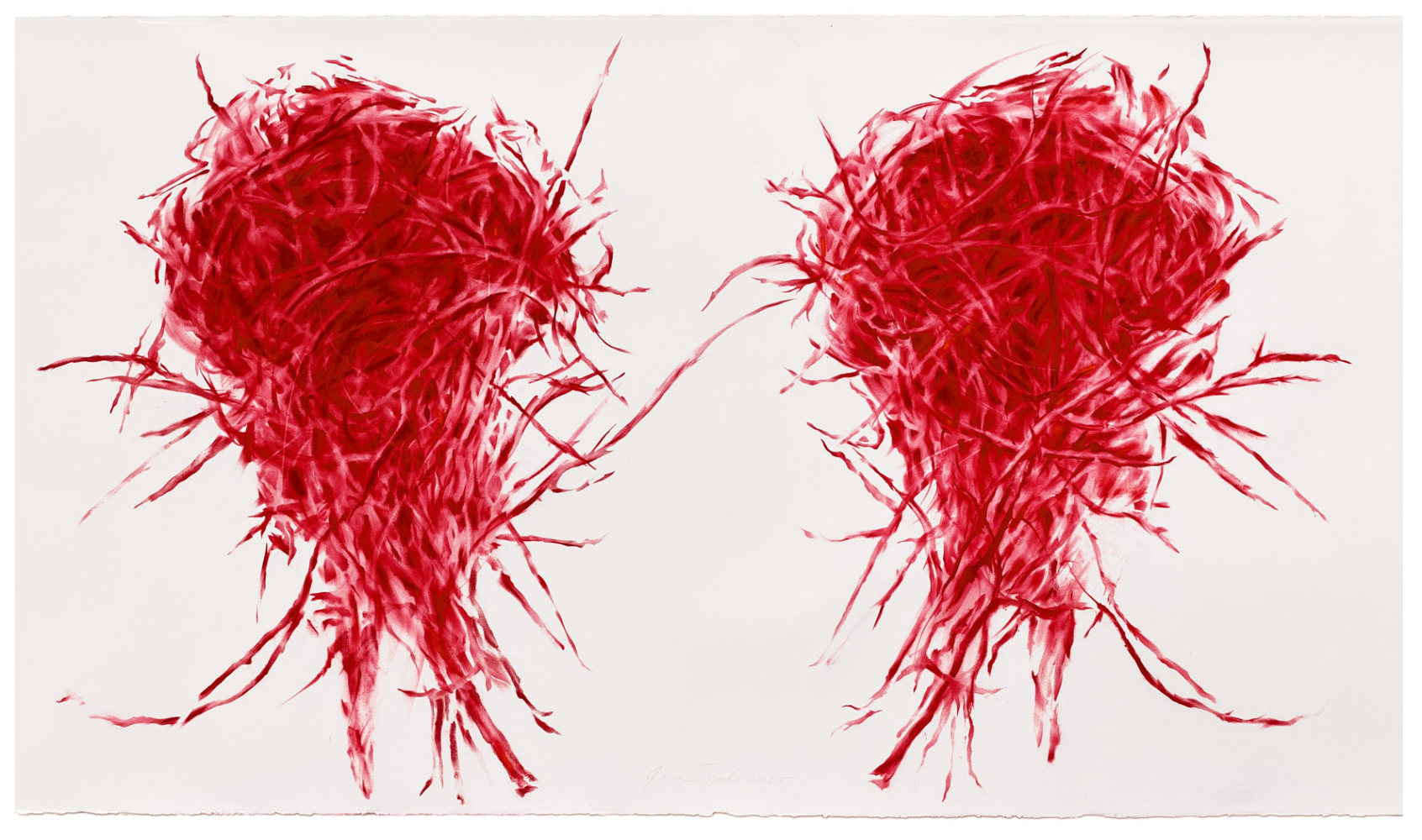 James Drake His and Hers Red Nest, 2025 red pastel on paper 42" x 72" JD 414