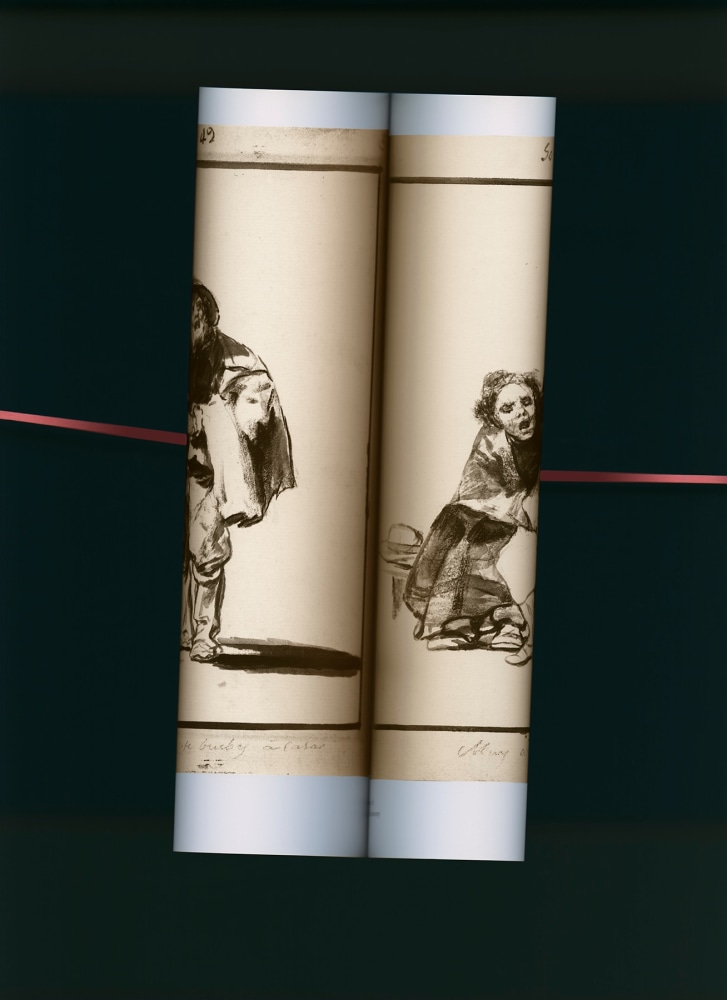 MANUAL (Hill &amp; Bloom) Goya: &quot;Lo yerras, si te bue [I]bes a casa; Muy acordes&quot;, 2010 archival pigment print, ed: 5 24&quot; x 17&quot; M 472 Moody Gallery