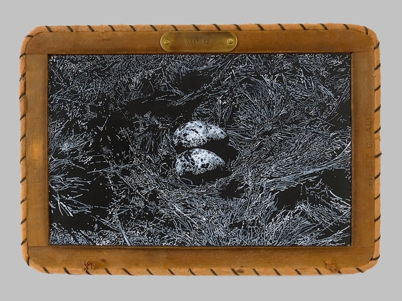 Helen Altman Nest 92, 2020 acrylic on vintage slate chalkboard 9 1/4" x 13" HA 777 Moody Gallery